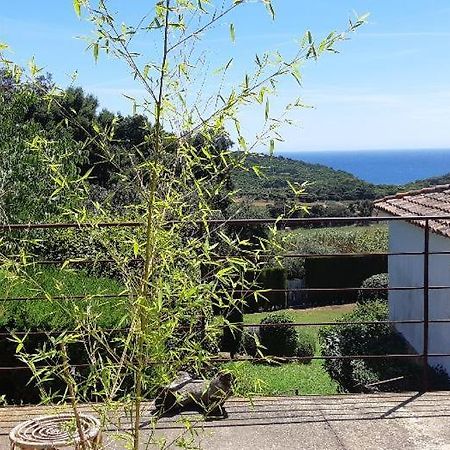 Estudio Vistas Al Mar Tamariu Y Bosques De Begur Екстер'єр фото